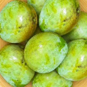 mango 5