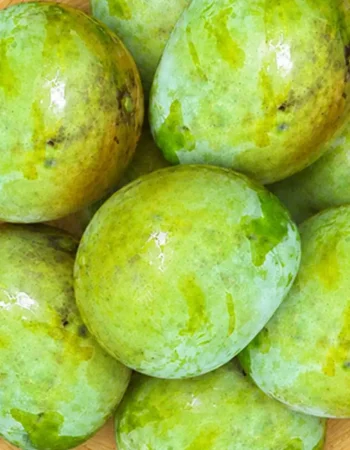 mango 5